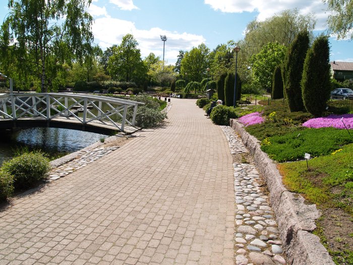 Kotka sapokka