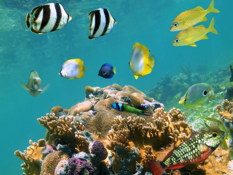 Curacao kaukomatka