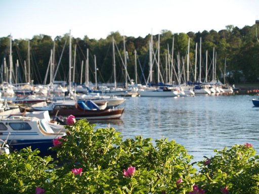 Kotka Sapokka veneet
