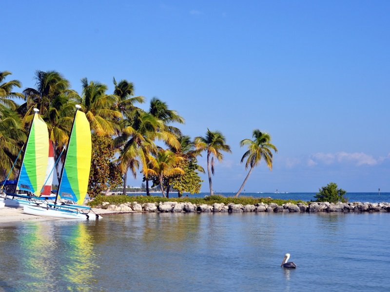 Usa_Florida_Smathers Beach On The Atlantic Ocean in Key West, Florida, With Palm Trees, Catamaran Sailboats And A Pelican_800x600