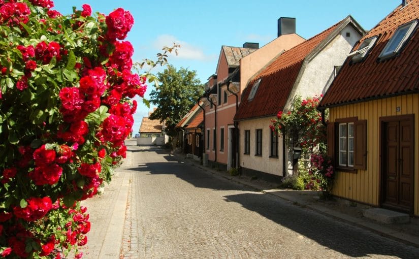 Gotlanti Visby Ruusut