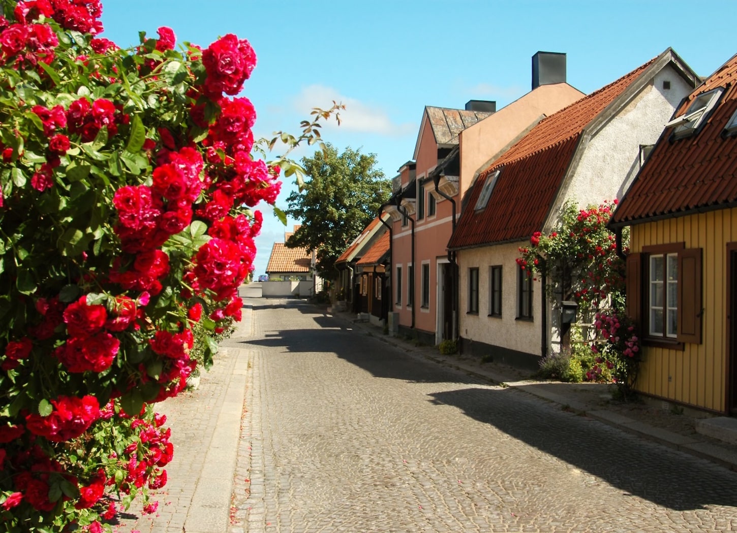 Visby Ruusujen kaupunki