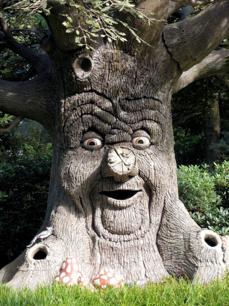 Hollanti-efteling-satumetsa-puu