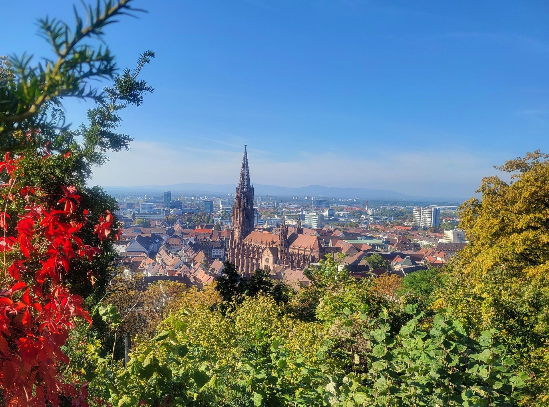 Saksa Tübingen, Heidelberg ja Schwarzwald