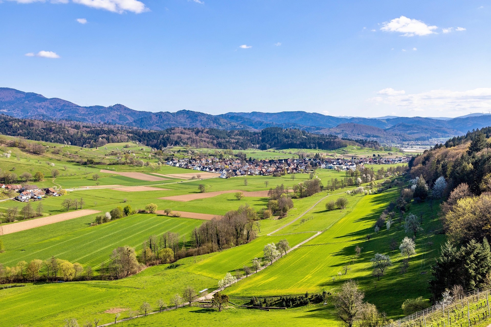 Saksa Tübingen, Heidelberg ja Schwarzwald